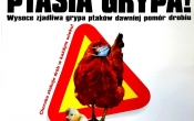 ptasia_grypa