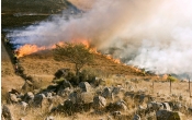 grass-fire-807388_1920