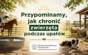 Grafika z zielonym napisem posrodku oraz zwierzeta gospodarskie w tle